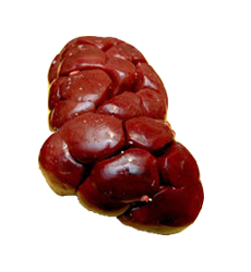 Beef Kidneys 1kg